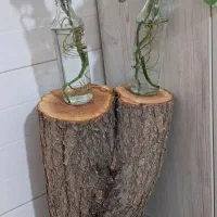 تنه درخت زرالو