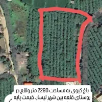 اطلاعیه فروش مزایده ای زمین، باغ کیوی و شالیزار|فروش زمین و ملک کلنگی|لیسار, |دیوار