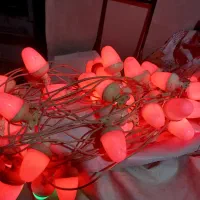 ریسه لامپ تزیینی