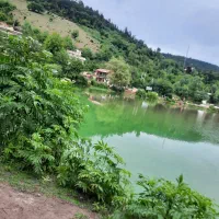 اجاره خودرو با راننده جهت تور ایران گردی یا شهری