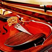 ویلن TF 144 اصلی