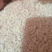 برنج هاشمی گیلان درجه یک