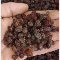 کشمش آفتابی پاک شده  کارتنی ۹ کیلویی