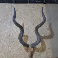 انواع مجسمه های نگین وارداتی