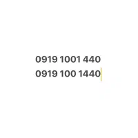0919.1001.440