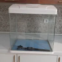 اکواریوم شیشه خم