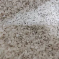 برنج نیمدانه هاشمی محلی