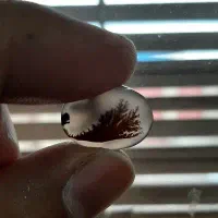 نگین شجر|کلکسیون اشیاء عتیقه|کرمان, |دیوار