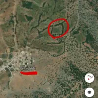 باغ انگور درجه یک 7 هزار متر|فروش دفتر صنعتی، کشاورزی، تجاری|نمشیر, |دیوار