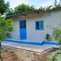 به دنبال مستاجر خانم|اجارهٔ خانه و ویلا|ساری, |دیوار