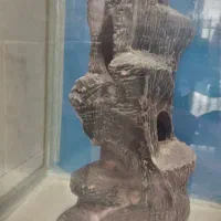 آکواریوم با وسایل|ماهی|بروجرد, |دیوار