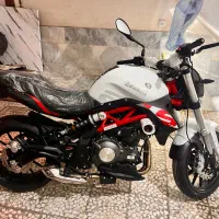 بنلی۳۰۰جفت خشک