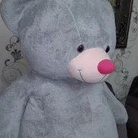 خِرس شاسخین|اسباببازی|رشت, گلسار|دیوار