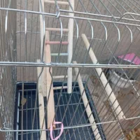 قفس بزرگ نو|لوازم جانبی حیوانات|قروه, |دیوار