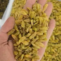 کشمشسبزکاشمر|خوردنی و آشامیدنی|سبزوار, توحیدشهر|دیوار