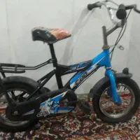 دو عدد دوچرخه ۱۲