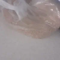 جوجه کبوتر قرمزگم کردم امروزطرف النی