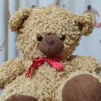 عروسک های مختلف