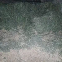 کاه و یونجه|لوازم جانبی حیوانات|ضیاء آباد, |دیوار