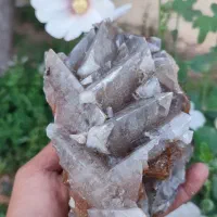 سلستین تیغه درشت شفاف