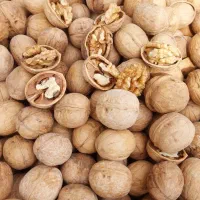 گردو و تخمه آفتابگردان