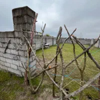 ۳۱۰ متر زمین در منطقه یک