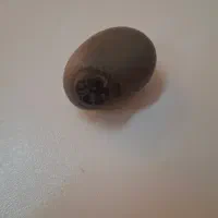 سنگ هبهاب سنگ محبت|بدلیجات|آفتاب, |دیوار