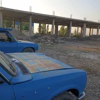 خرید انواع درخت باغی توت انجیر اکالیپتوس|خدمات باغبانی و درختکاری|آق قلا, |دیوار