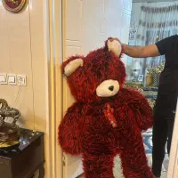 خرس نو‌ نو|اسباب‌بازی بچه|تبریز, |دیوار