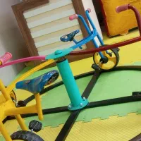 چرخ و فلک دوچرخه