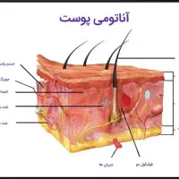 آموزش و استخدام تخصصی کیوسوییچ  اولین بار میاندواب|استخدام درمانی، زیبایی، بهداشتی|میاندوآب, |دیوار