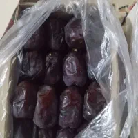 خرمای دانه درشت موجود فقط تعداد کم مونده|عمدهفروشی|سراوان, |دیوار