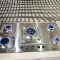 تعمیرات تخصصی انواع اجاق گاز بوشهر و عالیشهر
