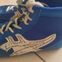 کفش کشتی|کیف، کفش، کمربند|شیراز, کاراندیش|دیوار