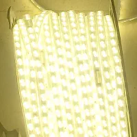 ریسه شلنگی کلاف کامل|لامپ و چراغ|نشتارود, |دیوار