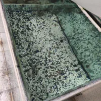 اکواریوم ماهی