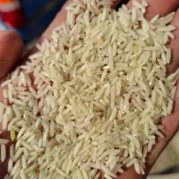 هاشمی راتون شاه برنج