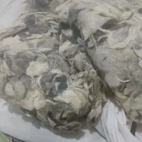 پشم و تشک پشمی