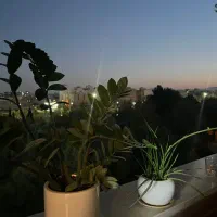 ۱۱۰مترآپارتمان ۲خواب سنددار خیابان خواجه عمید