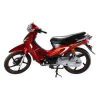 موتور بی کلاچ مدل 1401