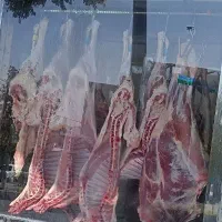 گوشت گوساله وبره با نازلترین قیمت
