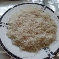 برنج فجر