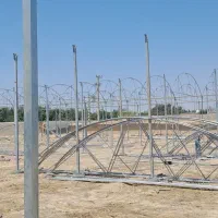 مشاوره گل گیاه درخت و درختچه|گل و گیاه طبیعی|فلاورجان, |دیوار