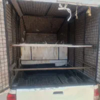 اتاق وانت پراید|قطعات یدکی و لوازم جانبی|مه ولات, |دیوار