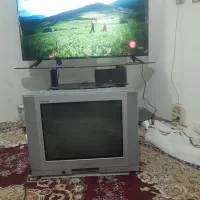 تلوزیون|تلویزیون و پروژکتور|شیروان (خراسان), |دیوار