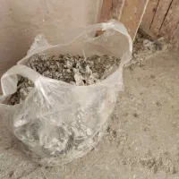 کود کبوتر|گل و گیاه طبیعی|قم, باغ شریفی|دیوار