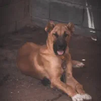 قمیت 10تومان