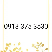 09133753530|سیمکارت|یزد, |دیوار