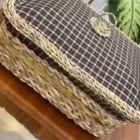 جا نونی در دار