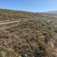 نیازمند کارگر برای گوجه چینی|استخدام صنعتی، فنی، مهندسی|میانه, |دیوار
